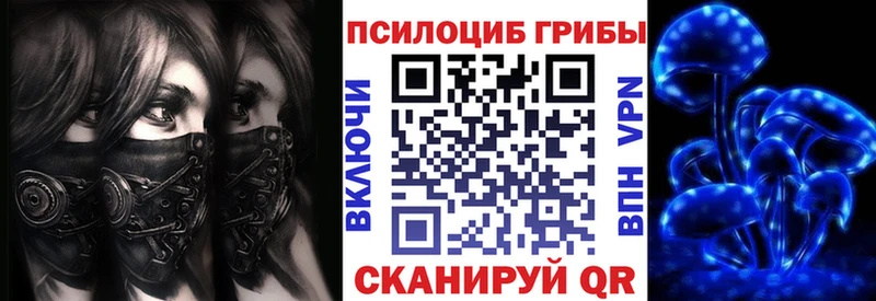 Галлюциногенные грибы прущие грибы  Кимовск 