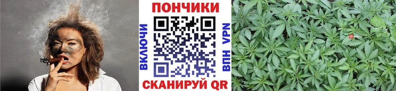 цены наркотик  Кимовск  Бошки марихуана Bruce Banner 